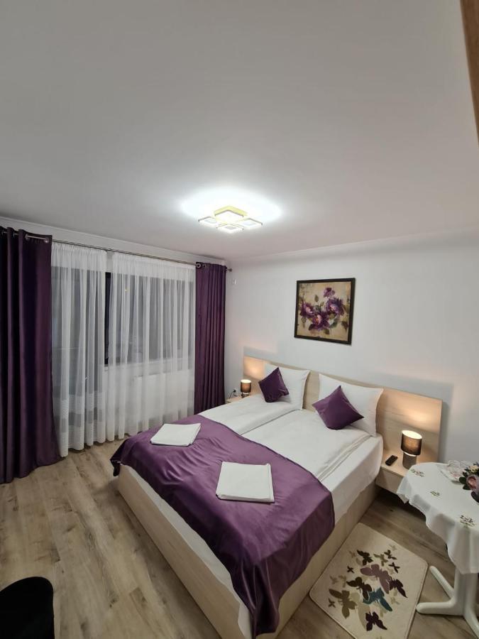Hotel Splendid House Făgăraş Exteriér fotografie